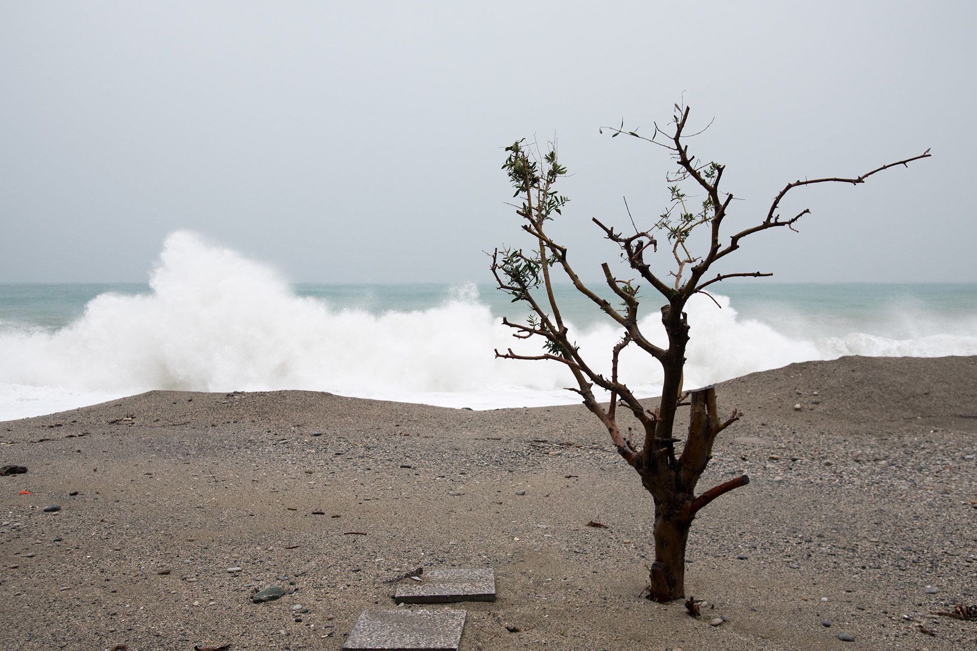 se il mare viene sulla terra - 2019